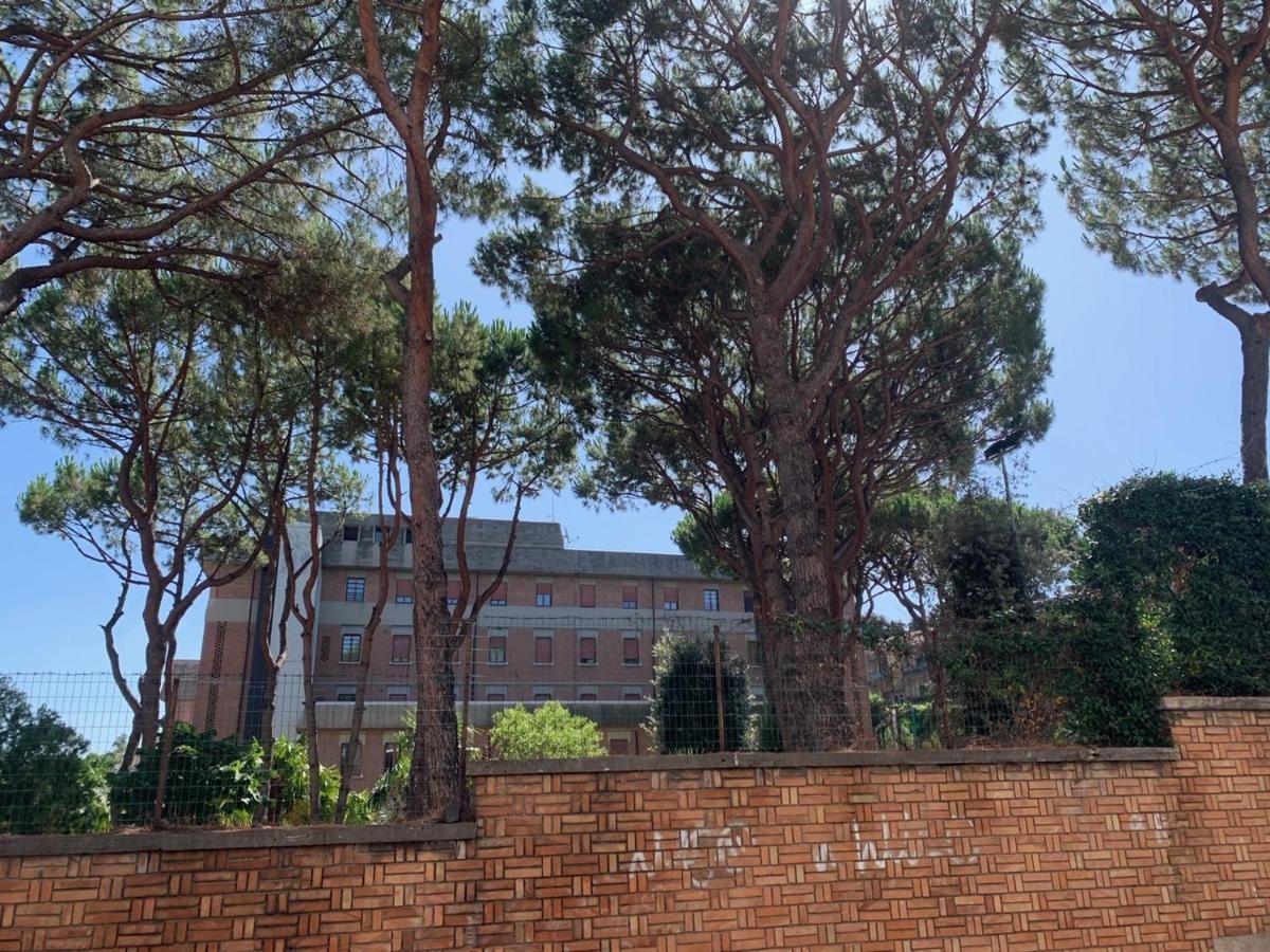 Albornoz 35, Rome